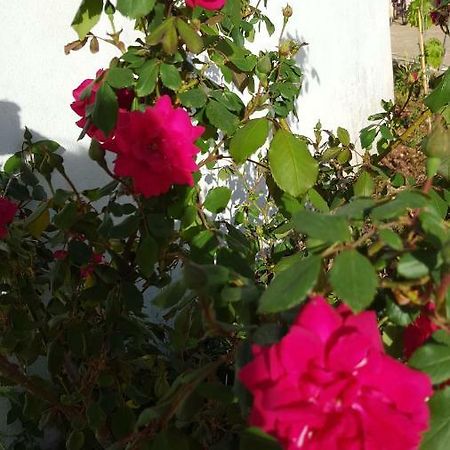 마르티나프란카 Giardini Di Lanzo 빌라 외부 사진