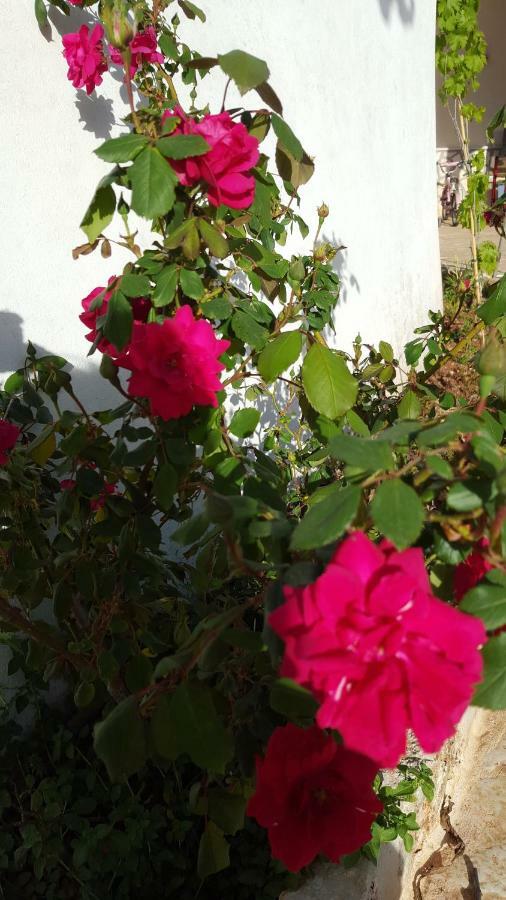 마르티나프란카 Giardini Di Lanzo 빌라 외부 사진